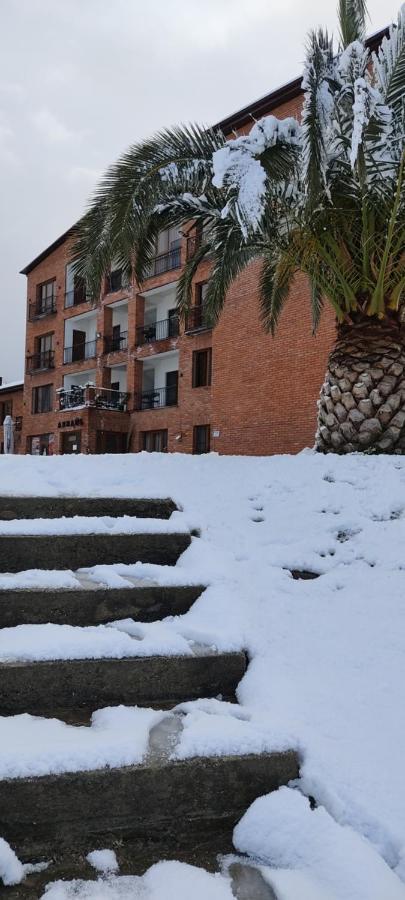 Arsaul Hotel New Athos Buitenkant foto